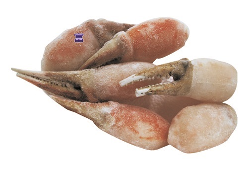 生凍松葉蟹爪